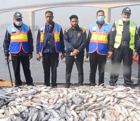 ৫০ মণ জাটকা ইলিশ জব্দ, এতিমখানায় বিতরণ