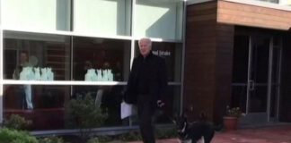 জো বাইডেনের কুকুর মেজর