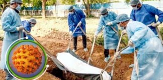 করোনায় আরও ২৬ মৃত্যু