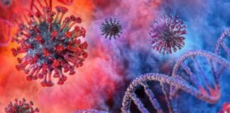 করোনা সংক্রমণ