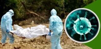 করোনাভাইরাসে আরও ১১ জনের মৃত্যু