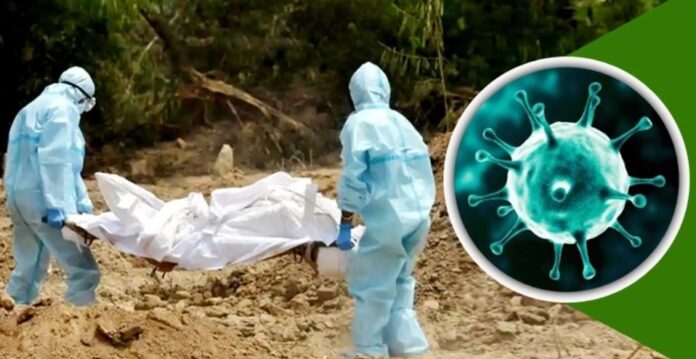 করোনাভাইরাসে আরও ১১ জনের মৃত্যু করোনাভাইরাসে আরও ১১ জনের মৃত্যু