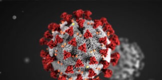 করোনাভাইরাস