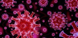 করোনাভাইরাসে ৩৩ জনের মৃত্যু