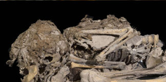 শিশুর কঙ্কাল উদ্ধার