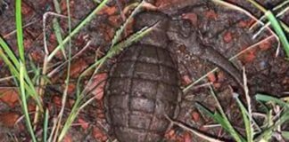 পরিত্যক্ত গ্রেনেড