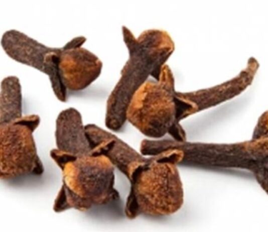 অ্যাসিডিটির সমস্যা দূর করে লবঙ্গ লবঙ্গ