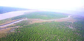 জেগে উঠছে আরেক বাংলাদেশ