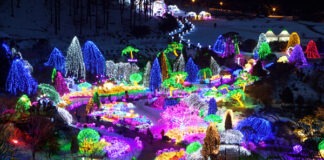 বেগুনি দ্বীপ