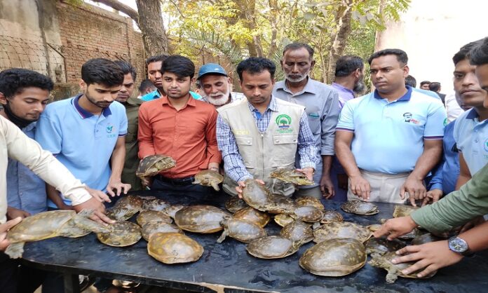 বিরল প্রজাতির কচ্ছপ