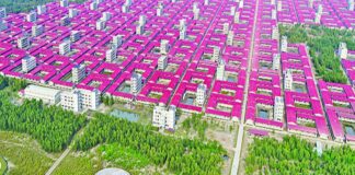 ভাসানচরে জাতিসংঘ প্রতিনিধিদল