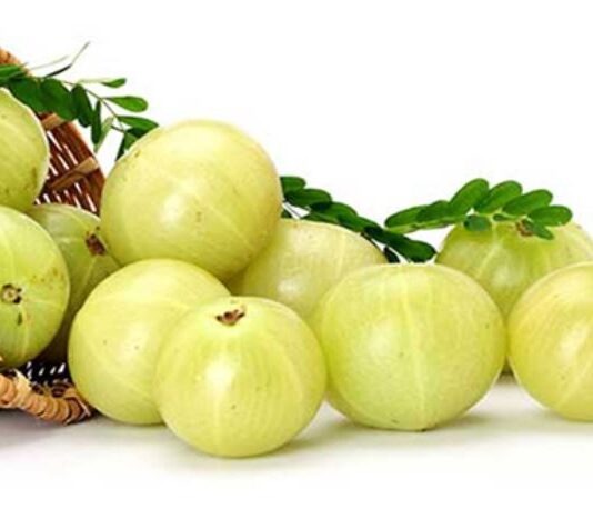 আমলকি