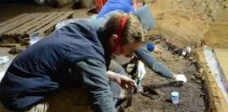 বুলগেরিয়ার গুহায় মিলল ৪৫ হাজার বছর আগের মানবচিহ্নের সন্ধান মানবজাতির অতিপ্রাচীন দেহাবশেষ