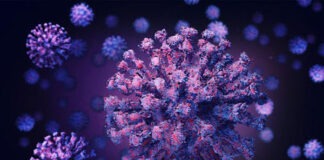 করোনাভাইরাস