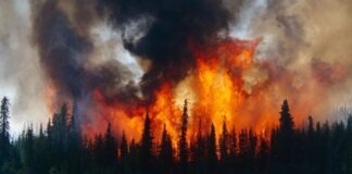 ২০২০ ছিল ইউরোপের ইতিহাসে উষ্ণতম বছর উষ্ণতম বছর