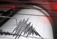 ভূমিকম্প