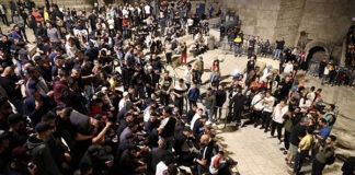 ফিলিস্তিনিদের উল্লাস