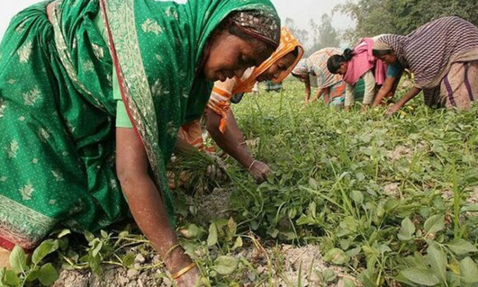 অর্থনৈতিক সমতায় পিছিয়ে নারীরা অর্থনৈতিক সমতায় পিছিয়ে নারীরা