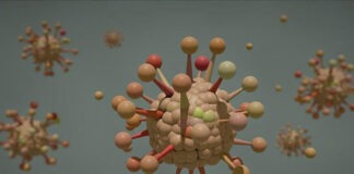 আমেরিকা করোনা দ্বিতীয় ঢেউ