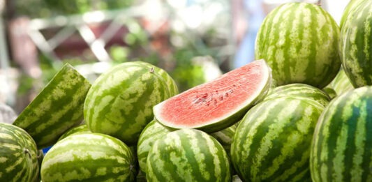 ন্যায্যমূল্যে তরমুজ