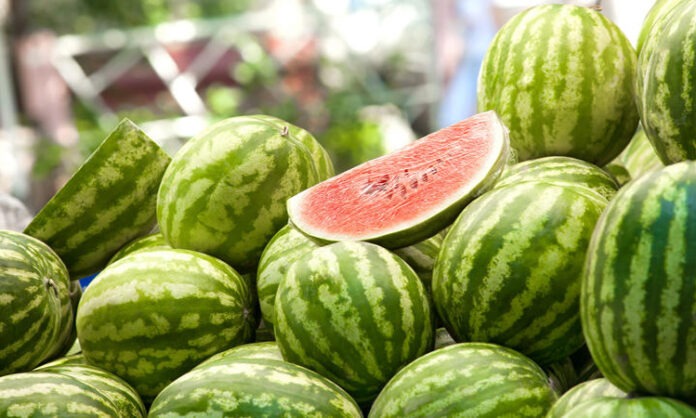 ন্যায্যমূল্যে তরমুজ