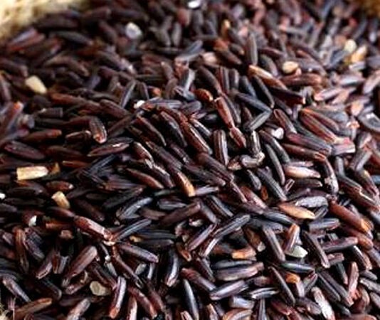 ব্ল্যাক রাইস ধান চাষাবাদে সফলতা ব্ল্যাক রাইস ধান