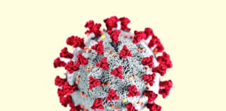 বাড়তে শুরু করেছে করোনা সংক্রমণ