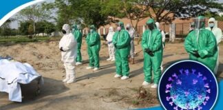 করোনায় মৃত্যু ১৭