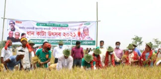 কৃষকের ধান কেটে দেয়া কর্মসূচি