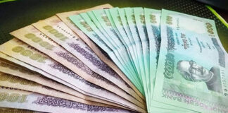 জিডিপি বেড়েছে