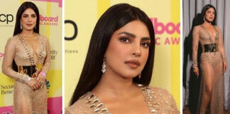 বিউটি আইকন প্রিয়াঙ্কা চোপড়া