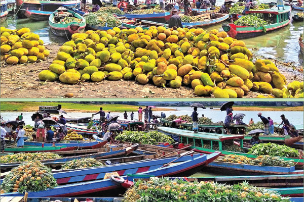 পাহাড়ে ফলের বাম্পার ফলন