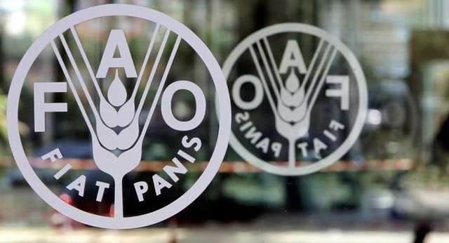 fao-council-180621-01