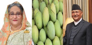 নেপালে ১ টন হাঁড়িভাঙা আম পাঠালেন শেখ হাসিনা