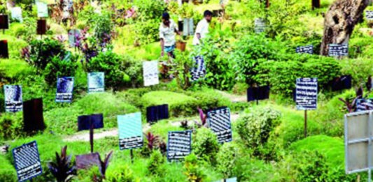ধর্মীয় স্থাপনা ও কবরস্থান-শ্মশান তৈরিতে সরকারের অনুমতি লাগবে ধর্মীয় স্থাপনা ও কবরস্থান-শ্মশান তৈরিতে সরকারের অনুমতি লাগবে