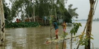 সিলেটে বন্যার পানি কমছে