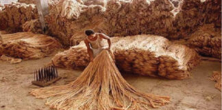 আজ জাতীয় পাট দিবস