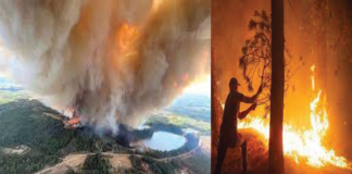 কানাডার আলবার্টায় ছড়িয়ে পড়েছে দাবানল