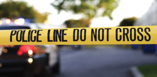 মেক্সিকোতে গোলাগুলি ঘটনায় ১০ জন নিহত