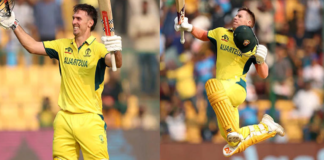 ওয়ার্নার-মার্শের জোড়া সেঞ্চুরি