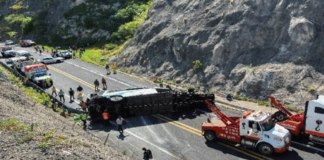 সড়ক দুর্ঘটনায়