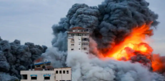 নিহতের সংখ্যা