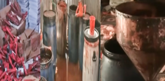 নকল মেহেদী