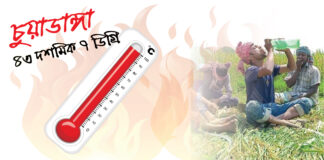 চুয়াডাঙ্গায়