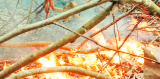 আগুন নেভানো