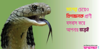 বসবাস