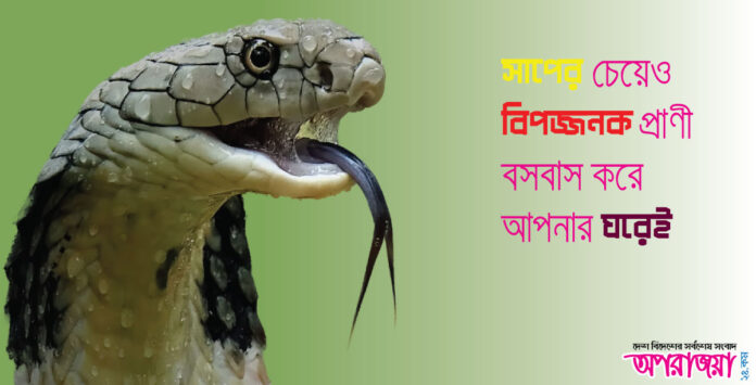 বসবাস