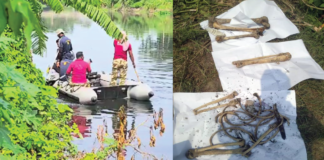 বাগজোলা