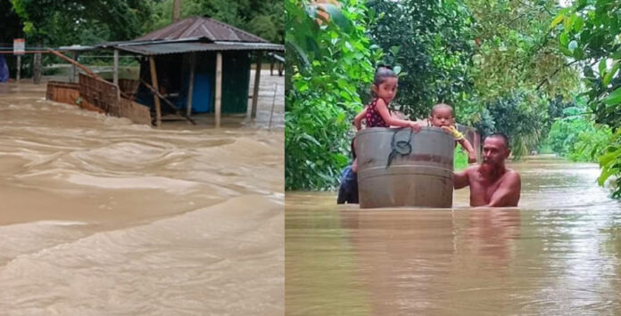 ১১ জেলায় বন্যা