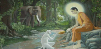 মধু পূর্ণিমা